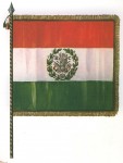 Quando i rivoluzionali esposero il tricolore sul municipio
